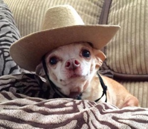 Annie Oakley