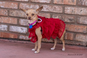 Pinky 1