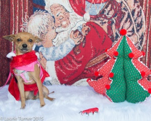 Briana 20151205FPAR6