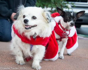 Priscilla 20151205FPAR123