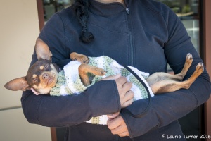 Coco -20160521FPAR199