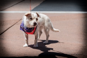 Katie 20160507-69485-Katie-WB