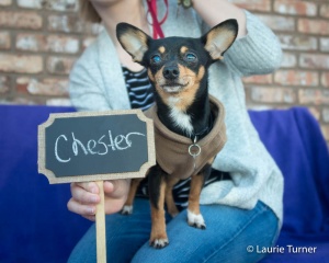 Chester - 20170318FPAR5Chester