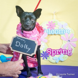 Dolly20170401FPAR2