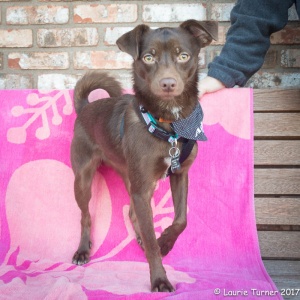 Kenna FPAR Kenna 01142017-9