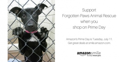 Amazon Prime Day!! Amazon Prime Day!!