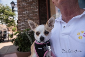 20170722-863887-wb-Abby