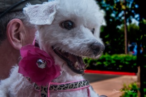 Patsy 20170902-51140-E-wb-Patsy