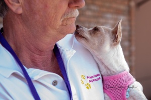 FPAR Adoptable Dog Channing