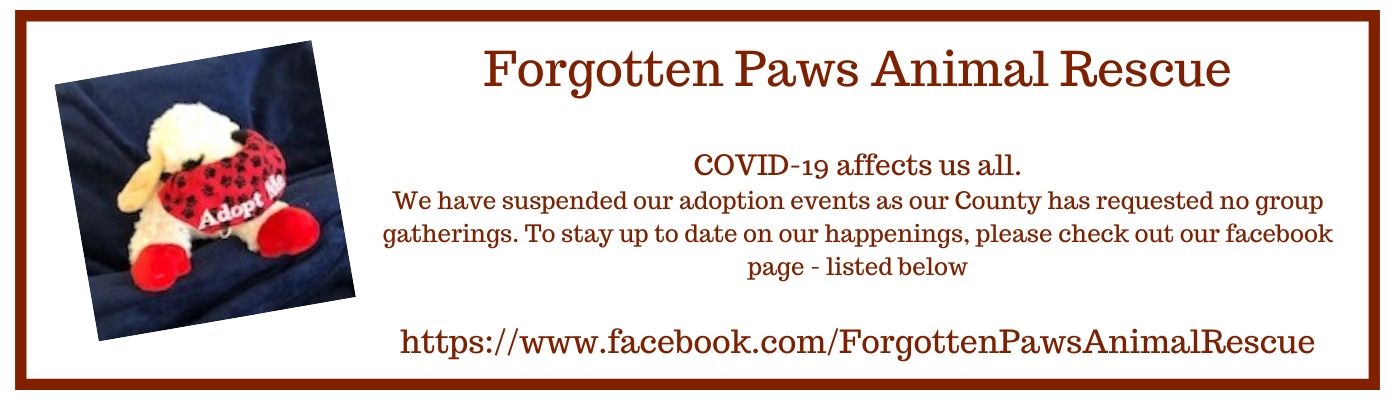 Forgotten Paws Animal Rescue